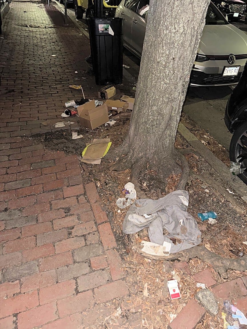 Image submitted with report