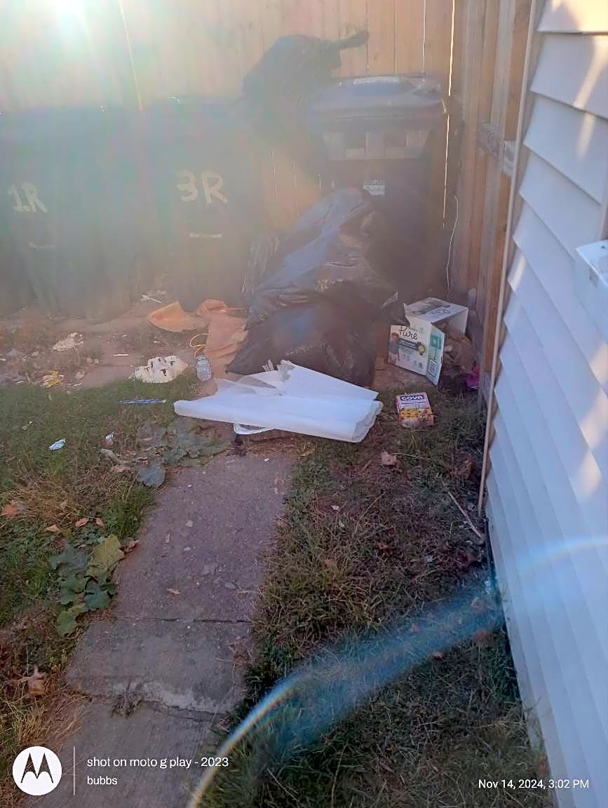 Image submitted with report