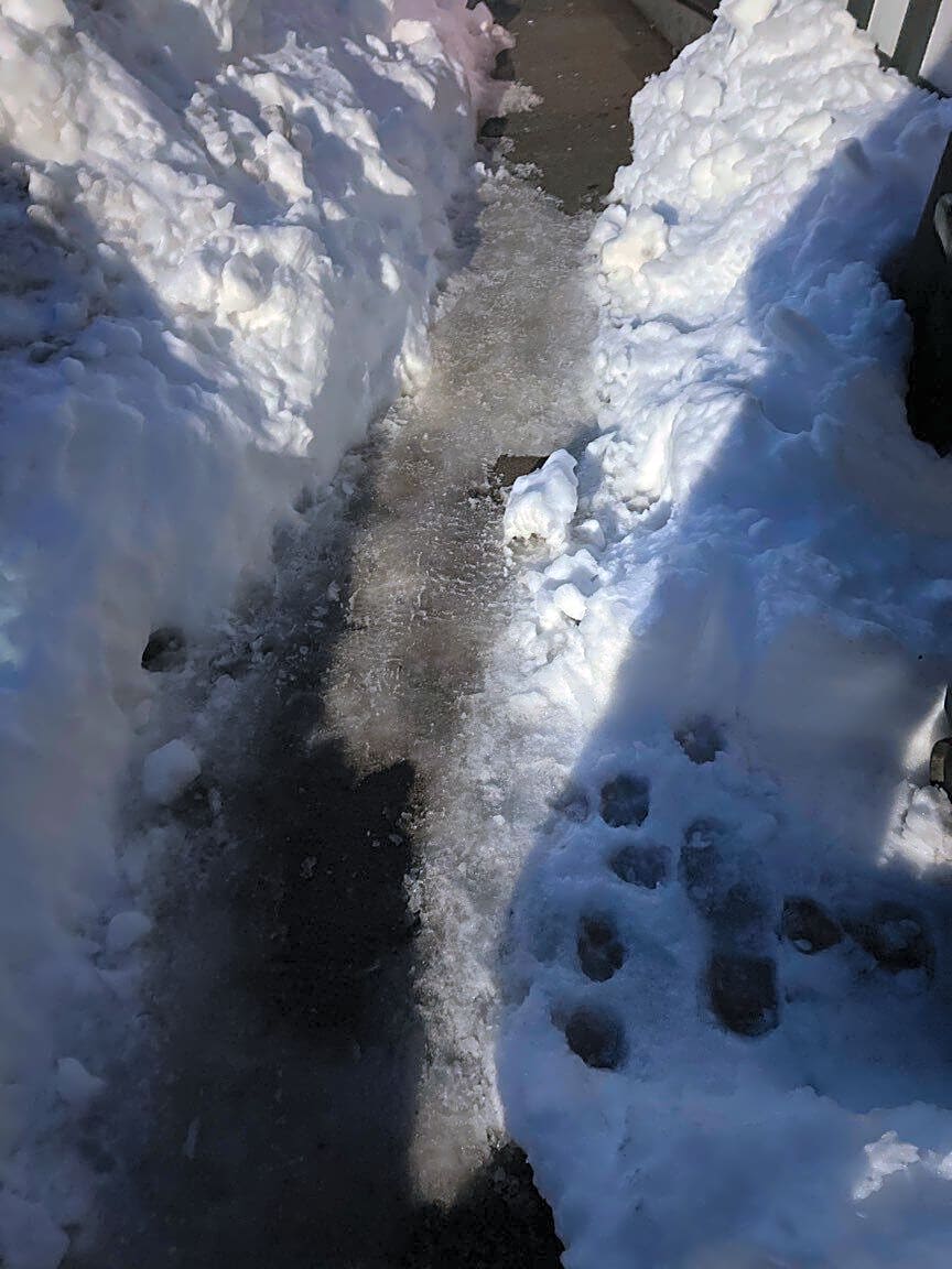 Image submitted with report