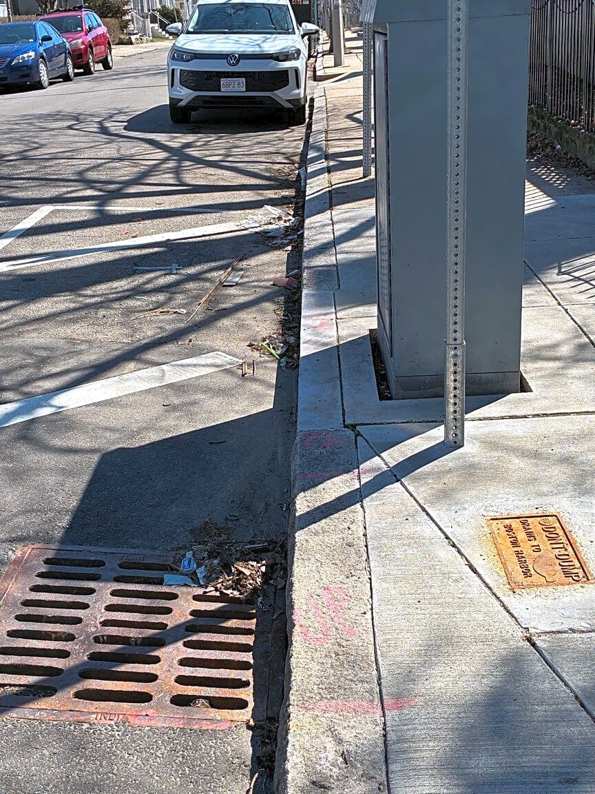 Image submitted with report