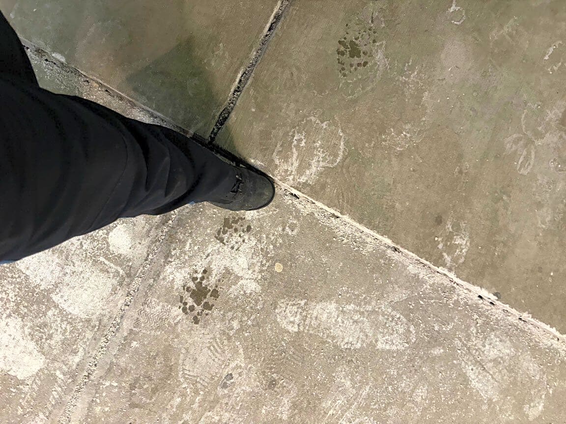 Image submitted with report