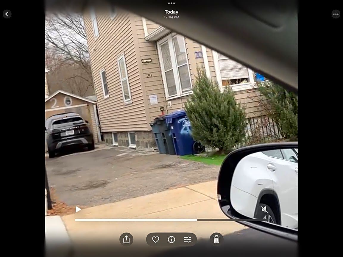 Image submitted with report