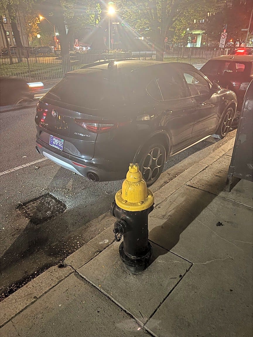 Image submitted with report