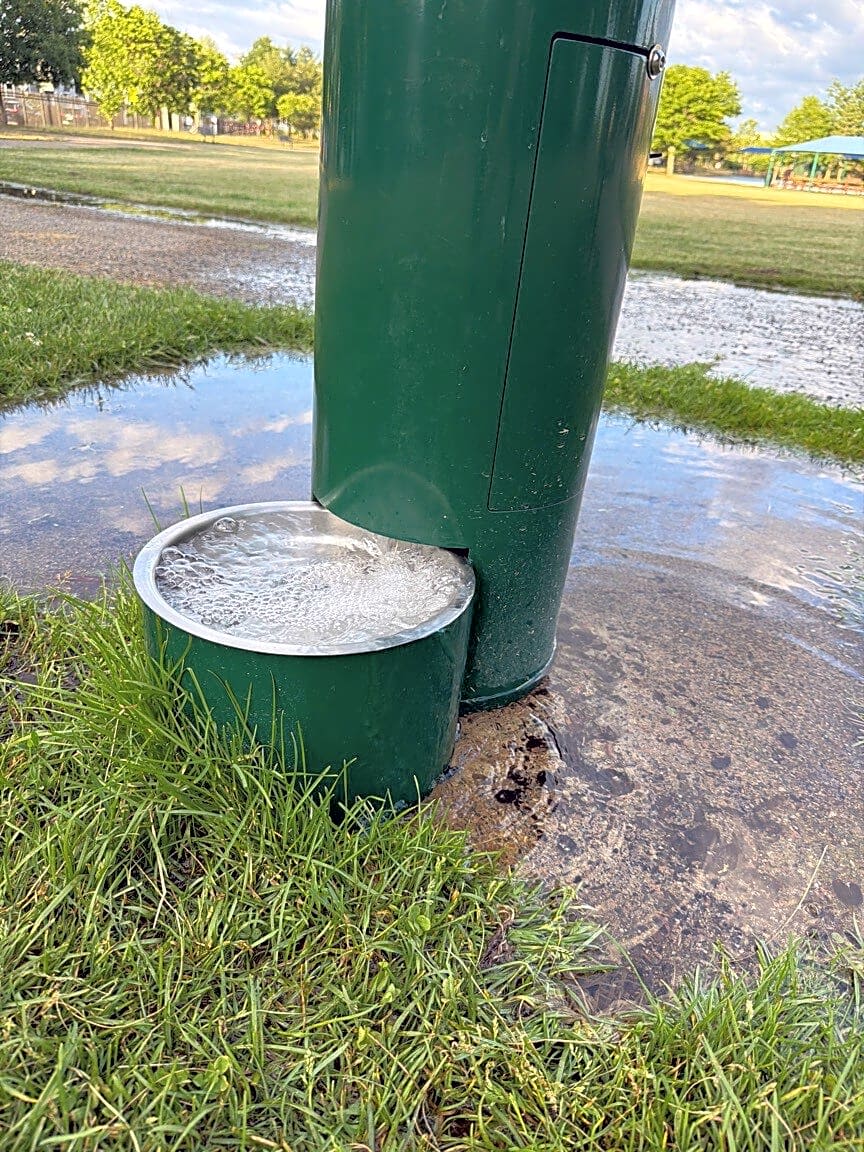 Image submitted with report