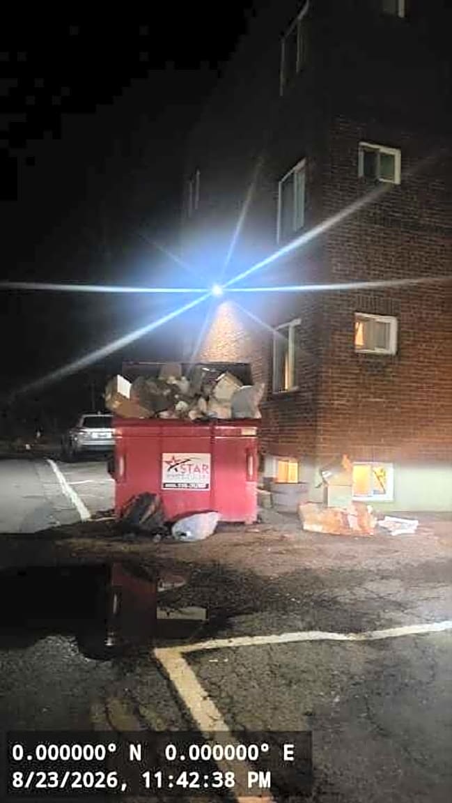 Image submitted with report