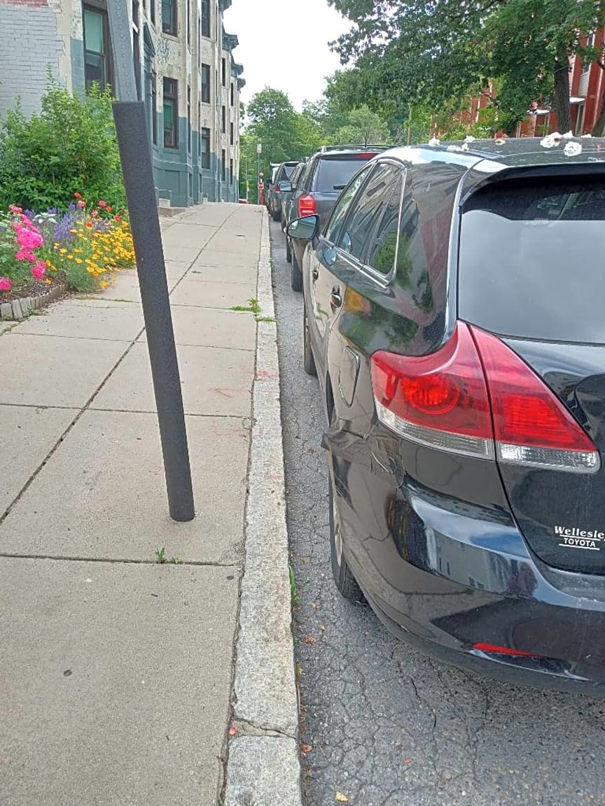 Image submitted with report