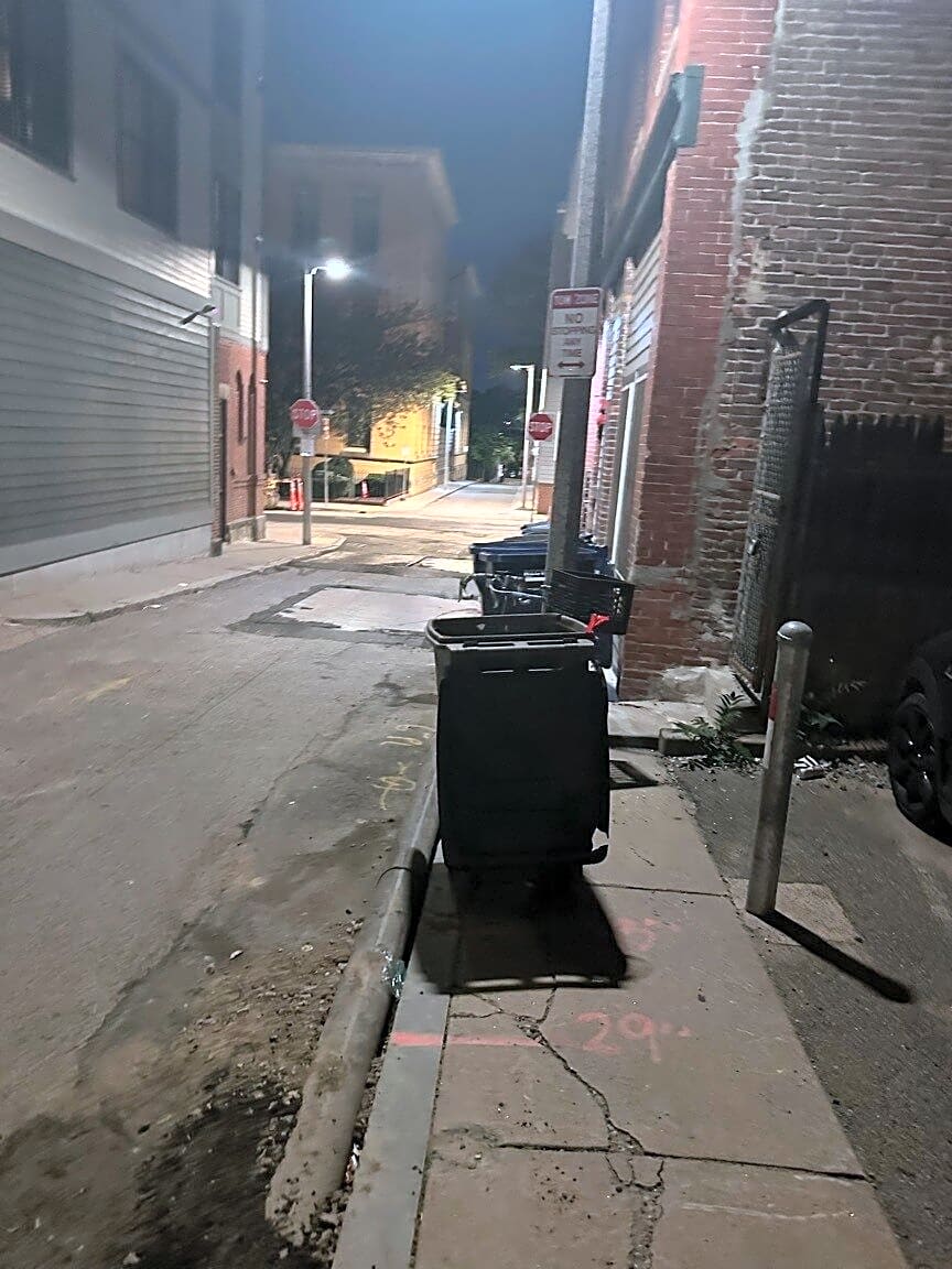 Image submitted with report