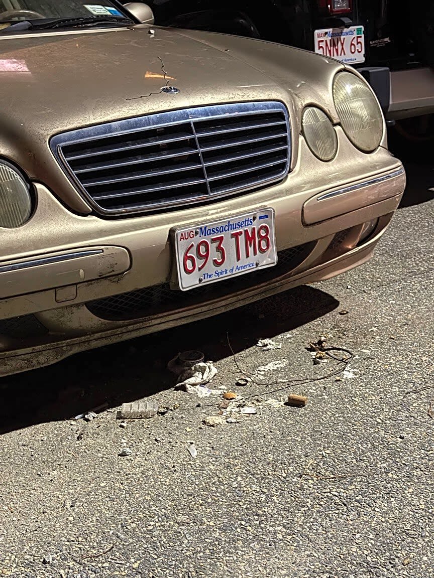 Image submitted with report