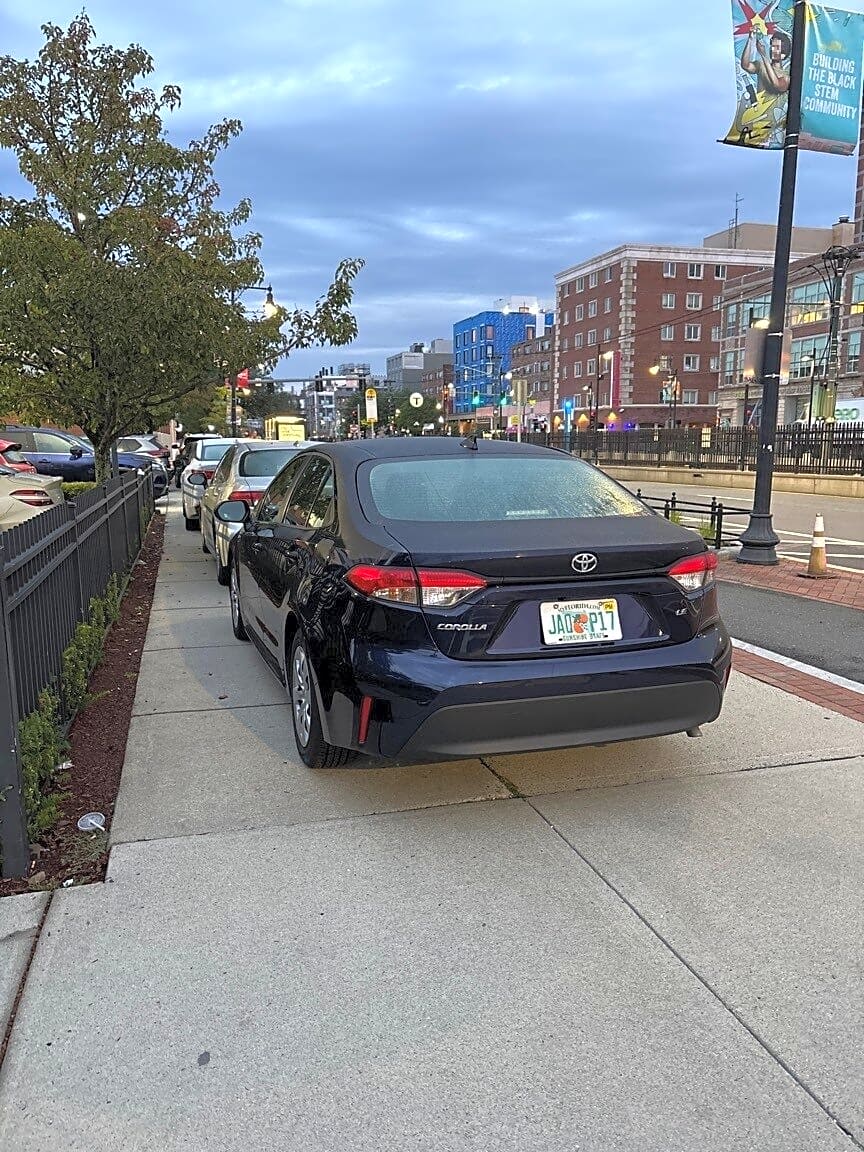 Image submitted with report