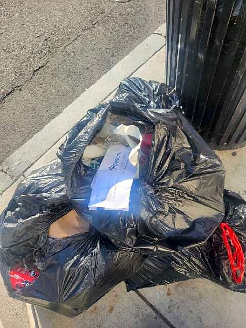 Image submitted with report