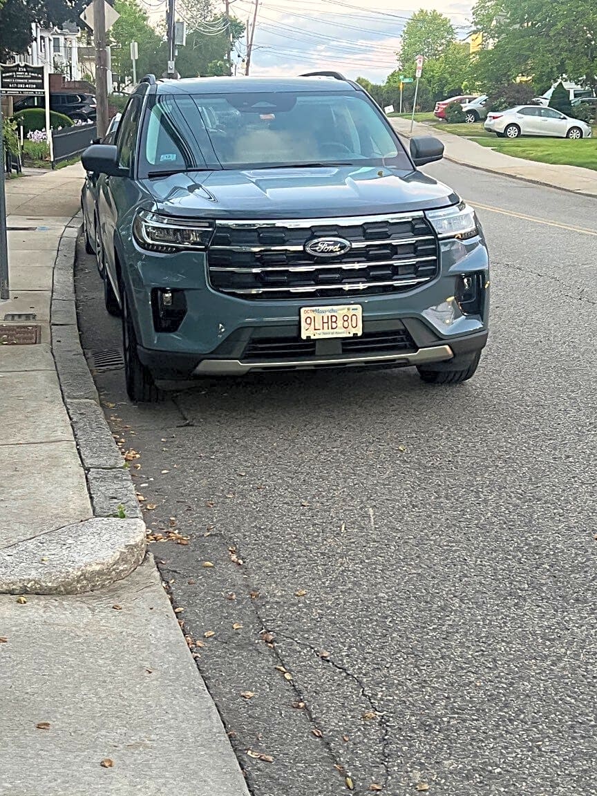 Image submitted with report