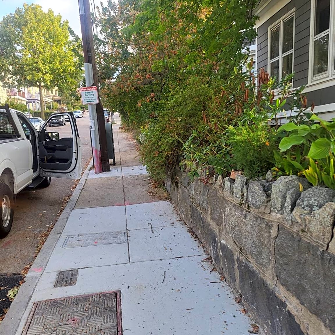 Image submitted with report