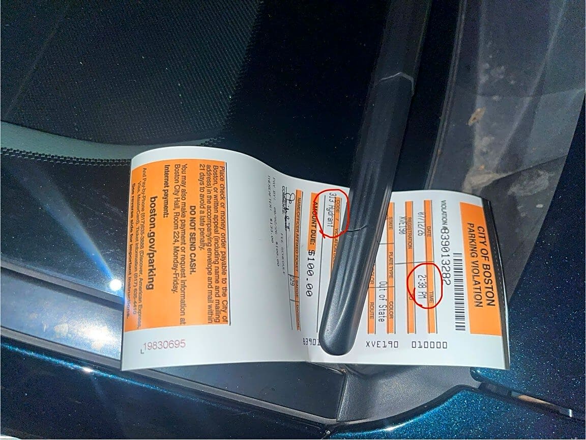 Image submitted with report