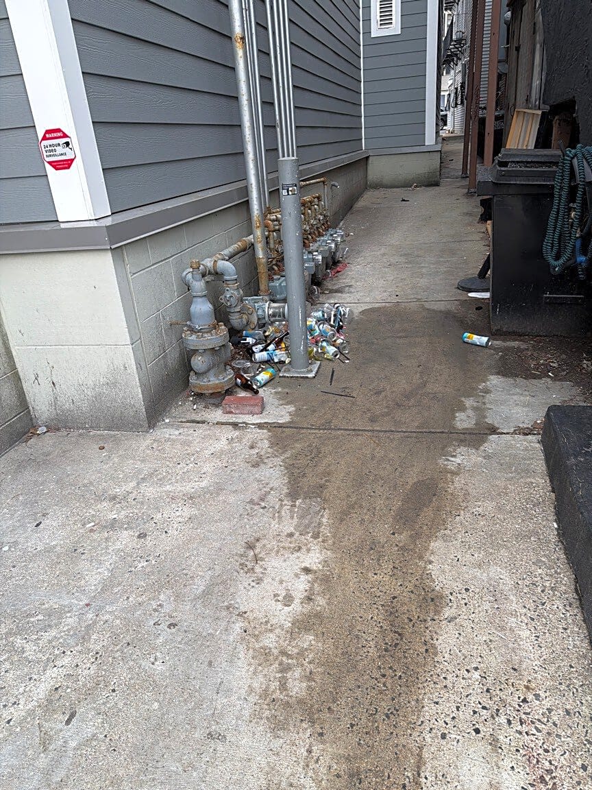 Image submitted with report