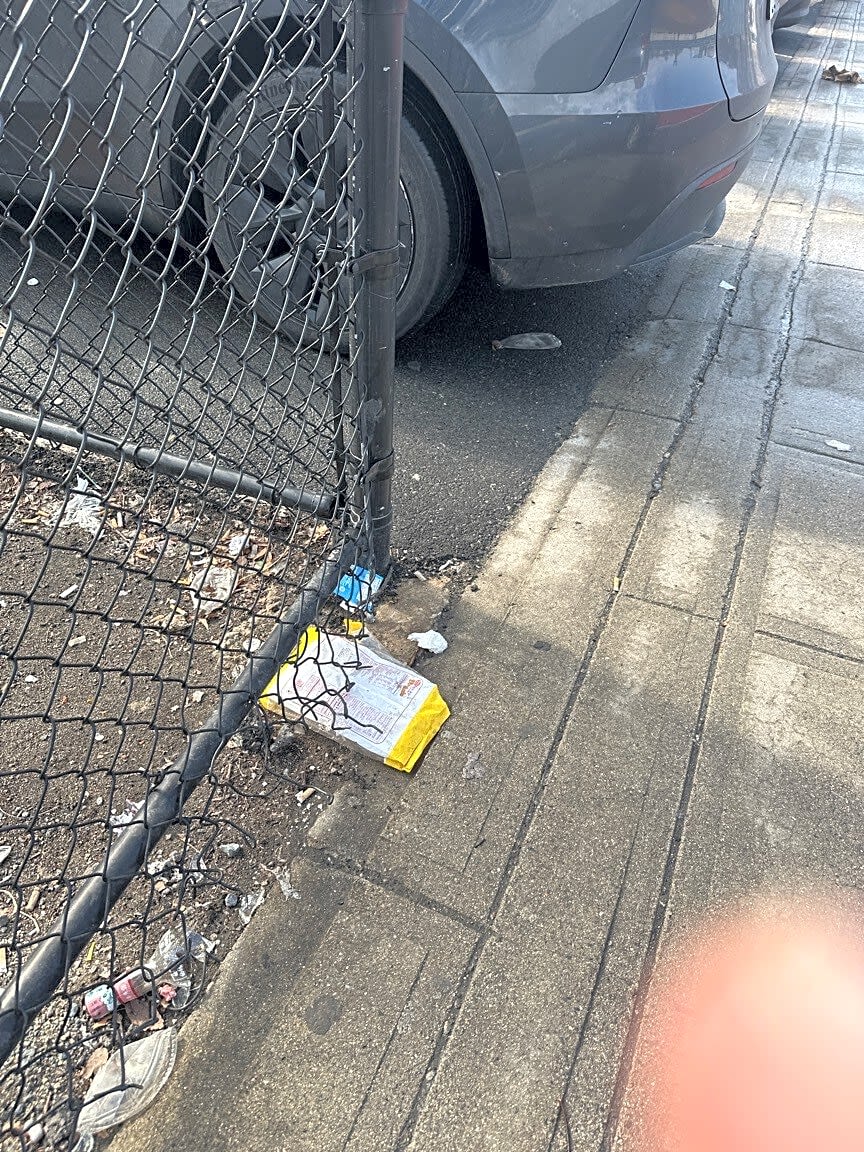 Image submitted with report