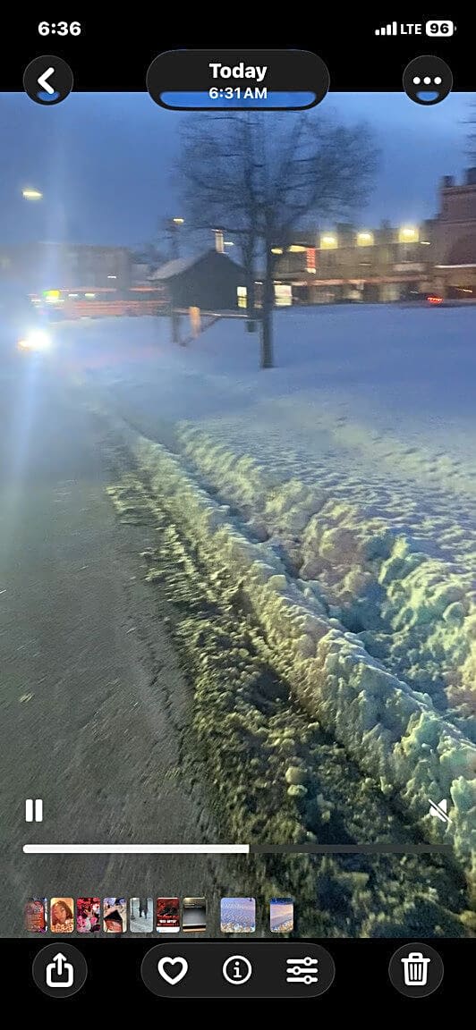 Image submitted with report