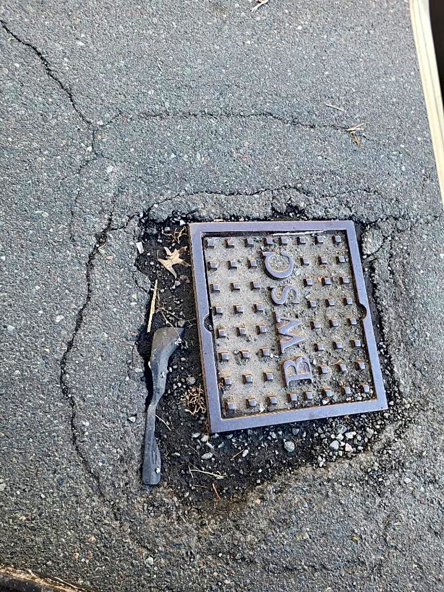 Image submitted with report