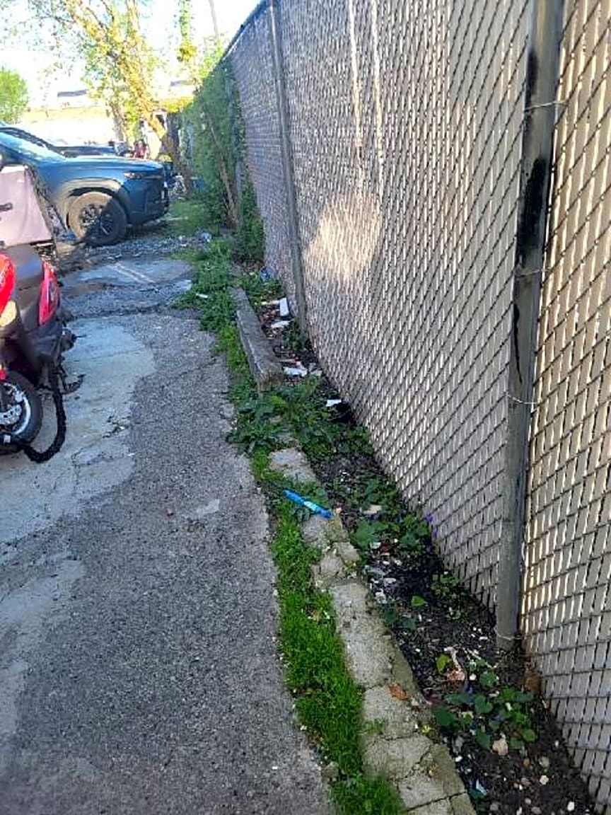 Image submitted with report