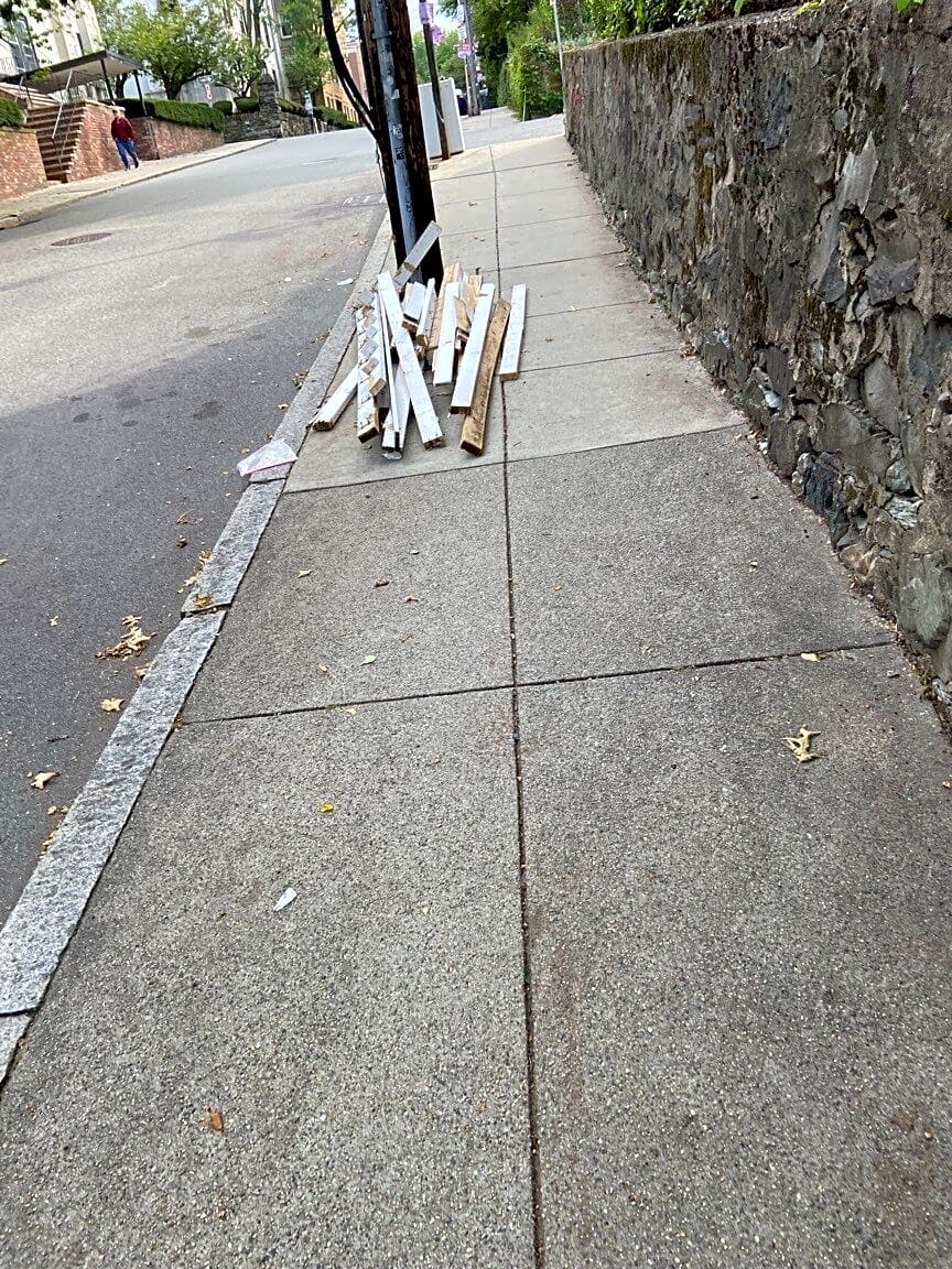 Image submitted with report