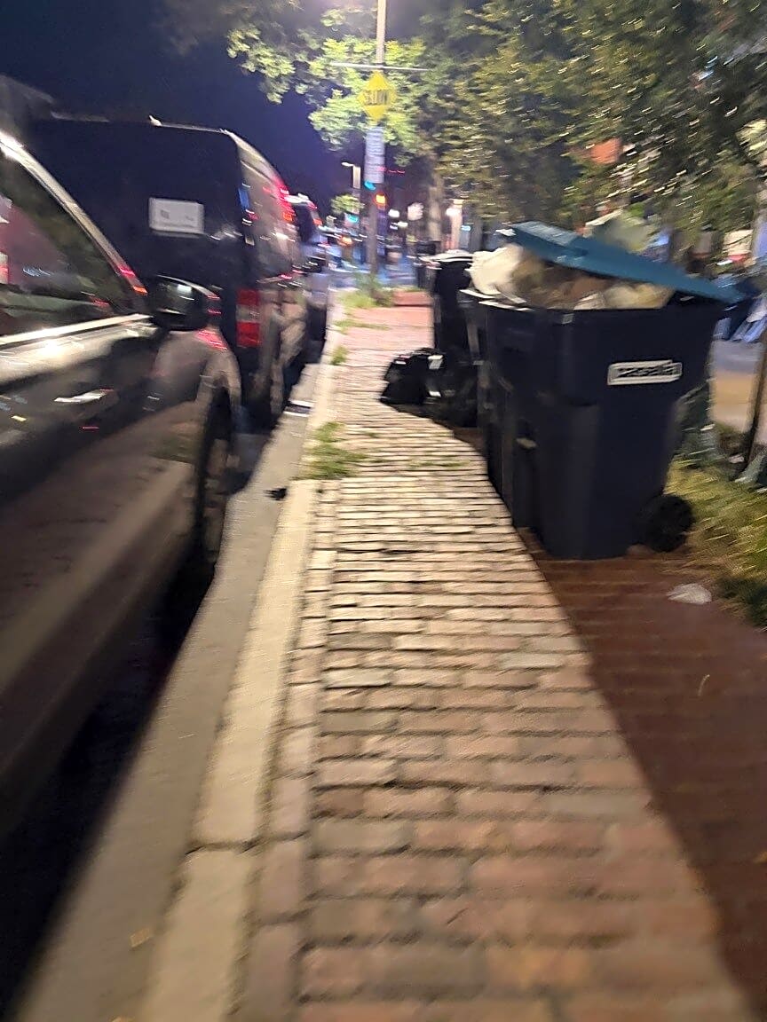 Image submitted with report