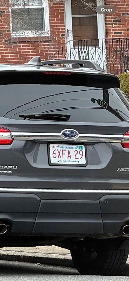 Image submitted with report