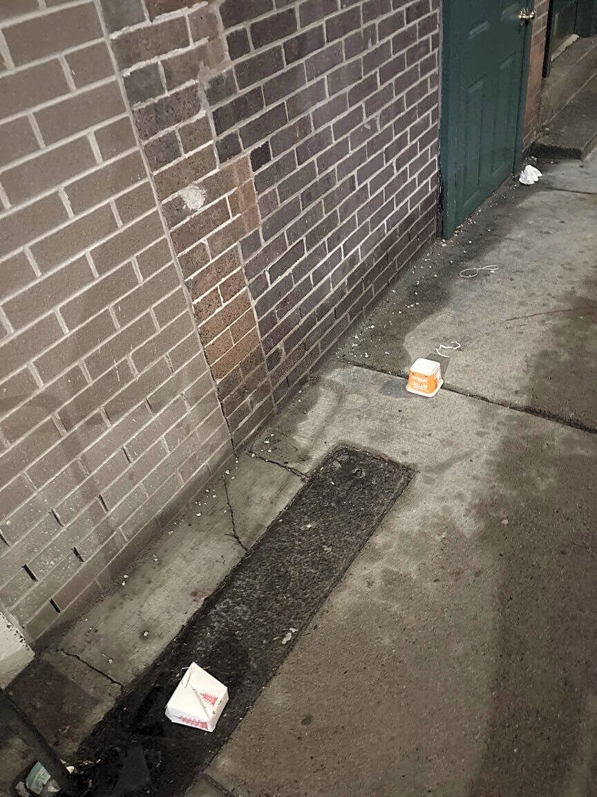 Image submitted with report