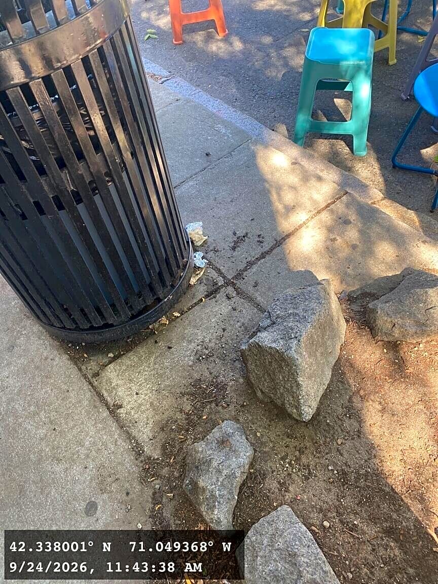 Image submitted with report