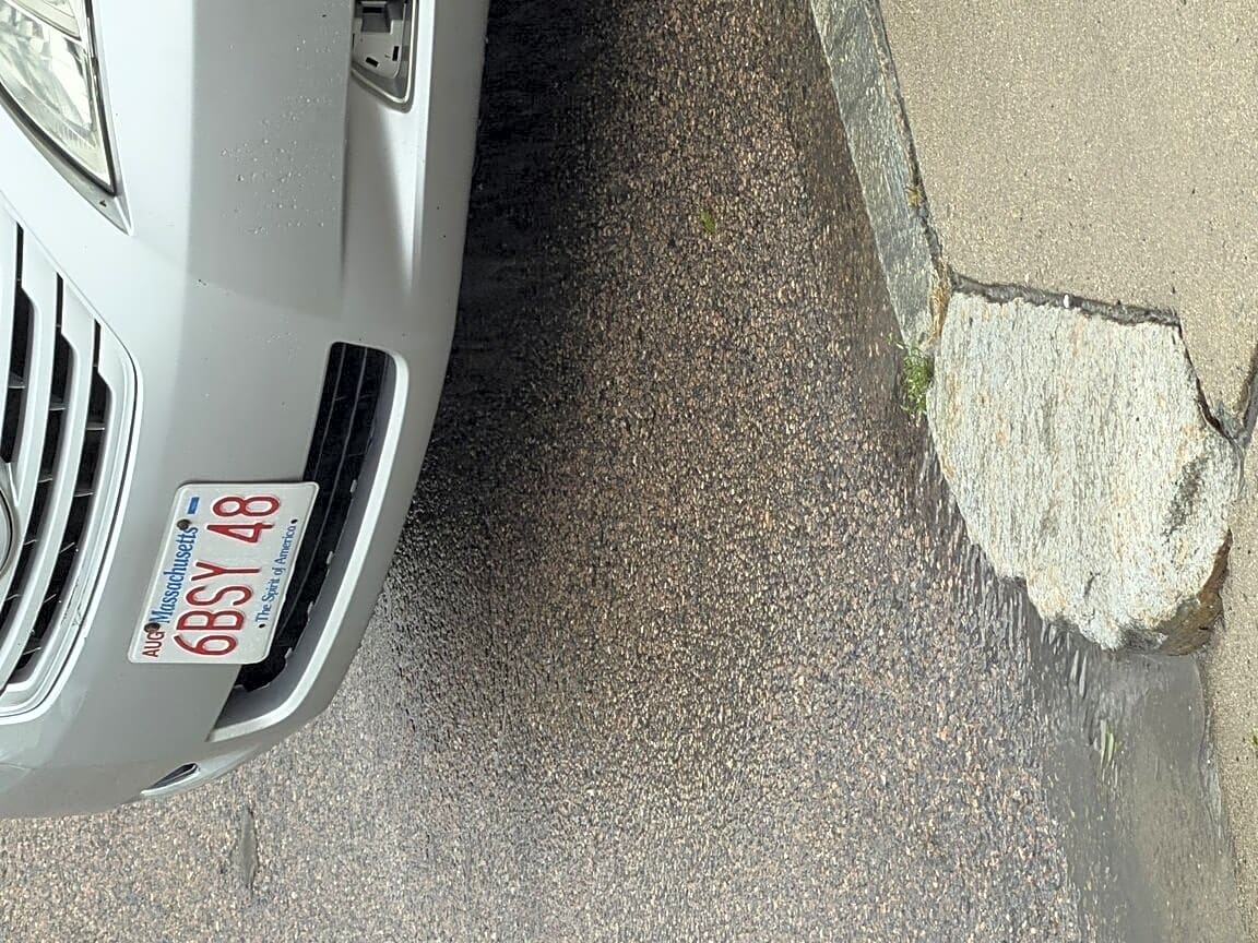 Image submitted with report