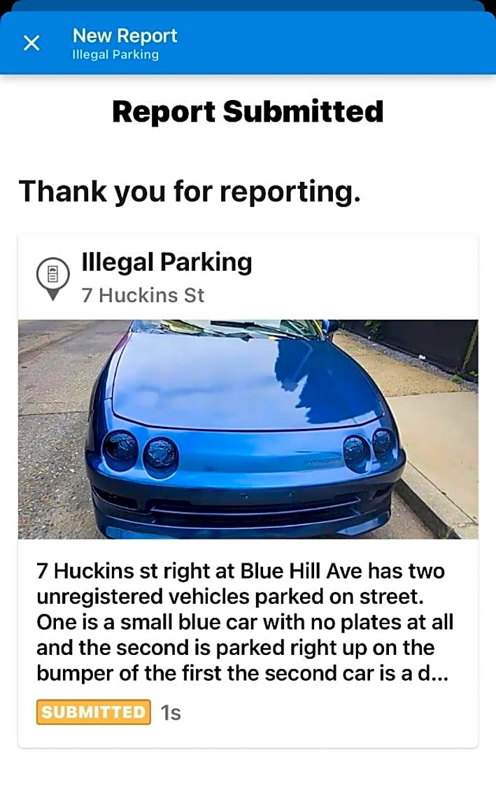 Image submitted with report