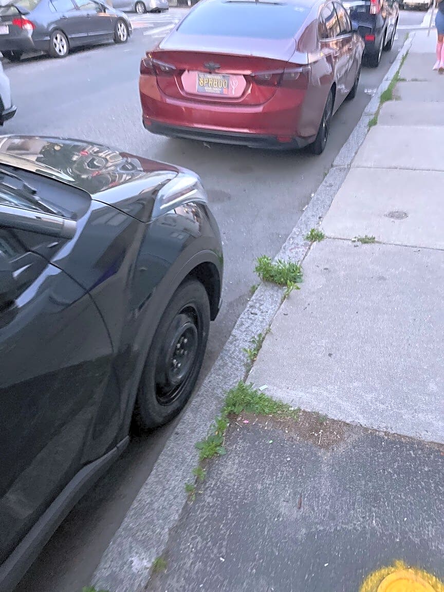 Image submitted with report
