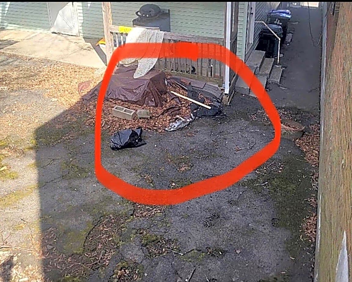 Image submitted with report