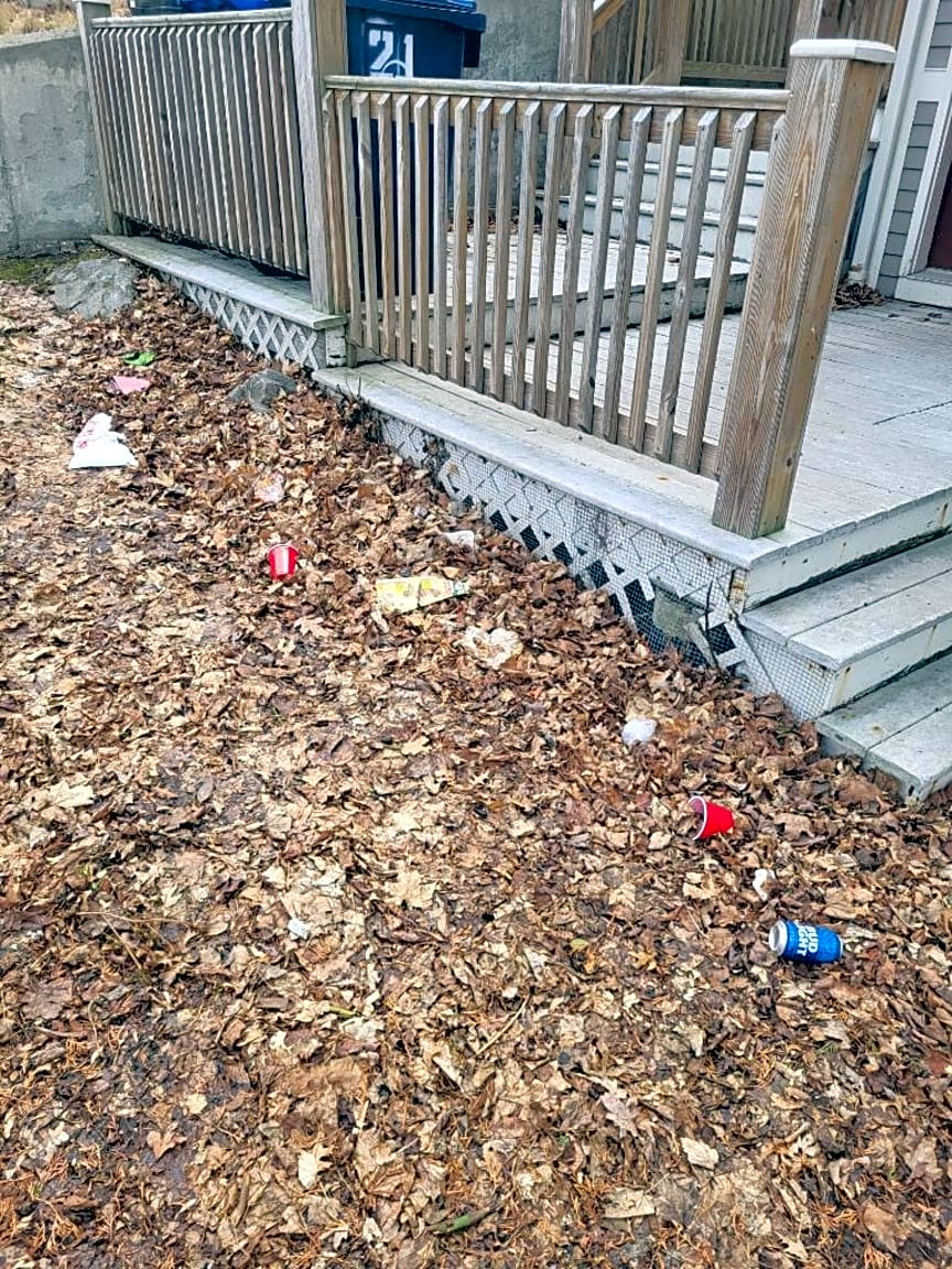 Image submitted with report