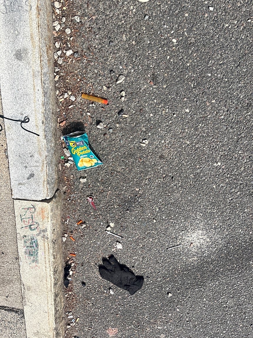 Image submitted with report