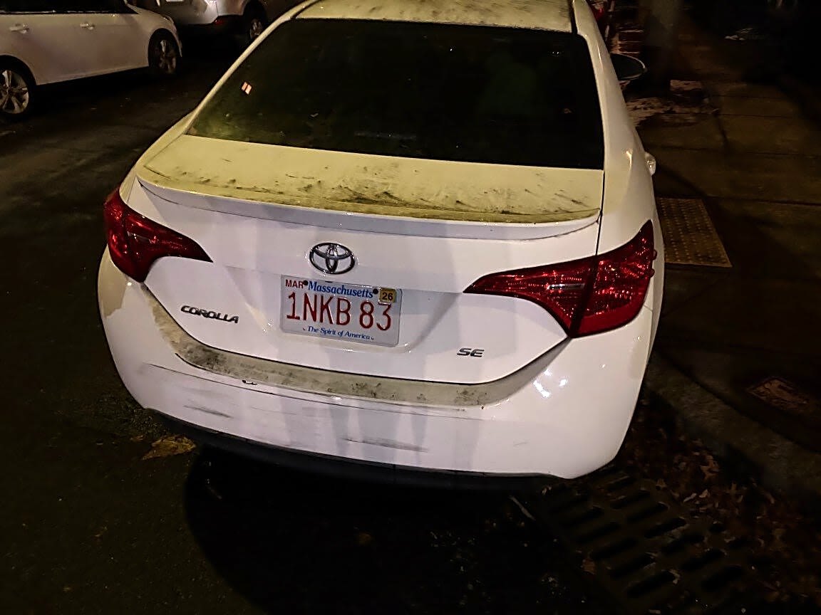 Image submitted with report