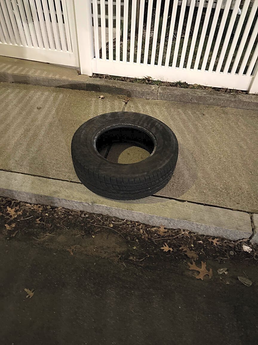 Image submitted with report