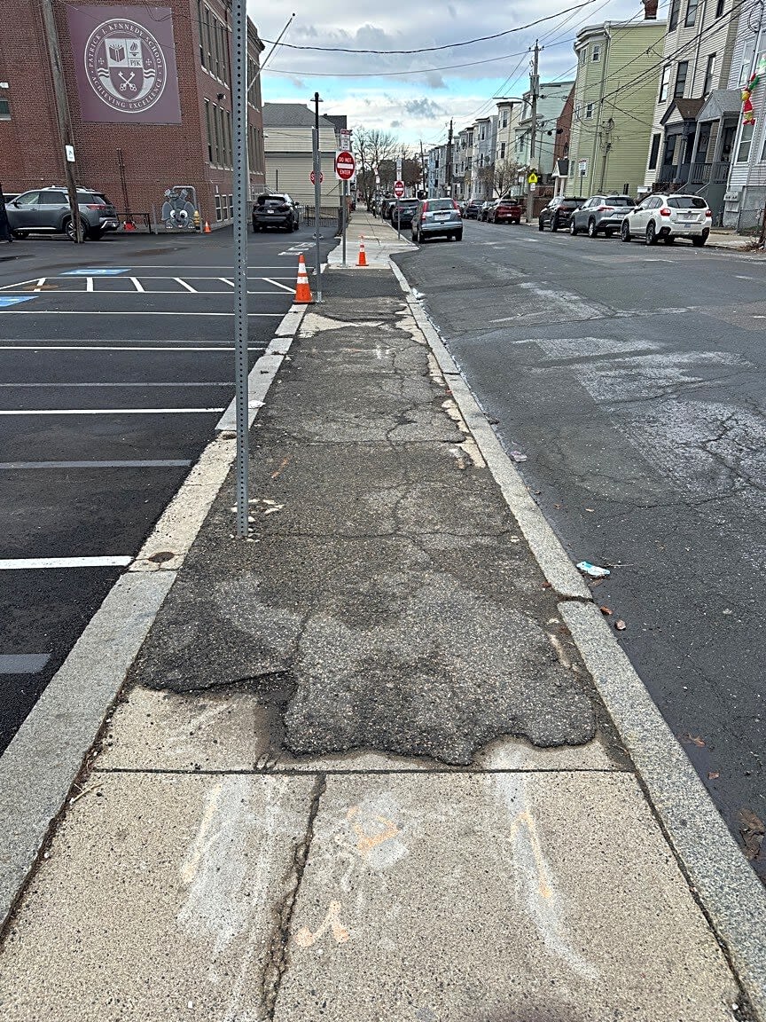 Image submitted with report