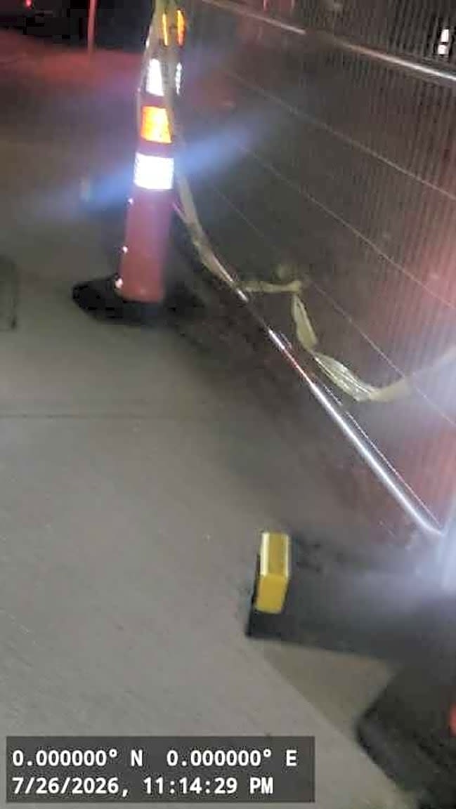 Image submitted with report