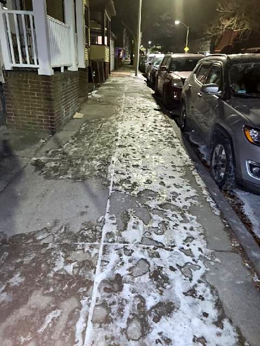 Image submitted with report