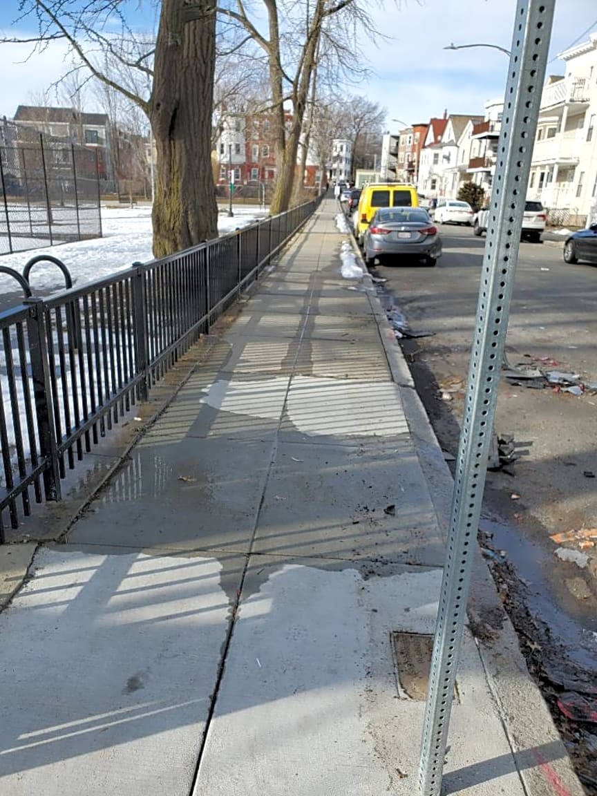 Image submitted with report