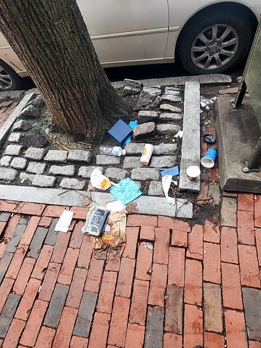 Image submitted with report