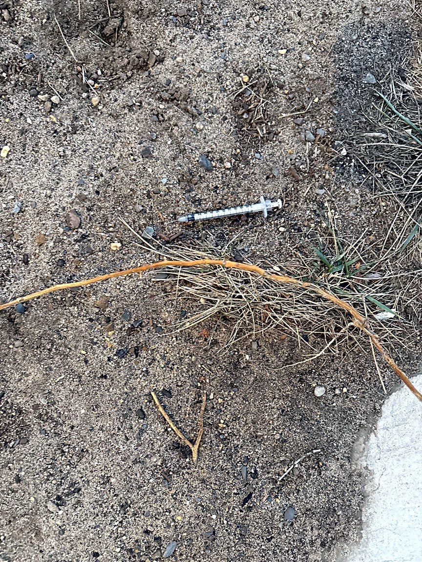 Image submitted with report