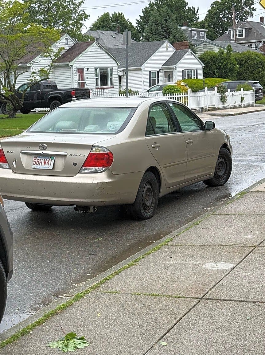 Image submitted with report