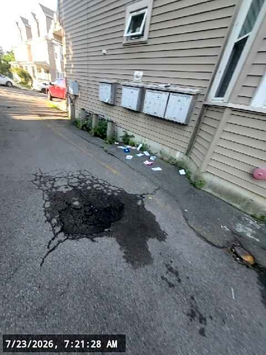 Image submitted with report