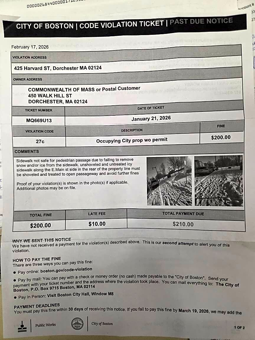 Image submitted with report