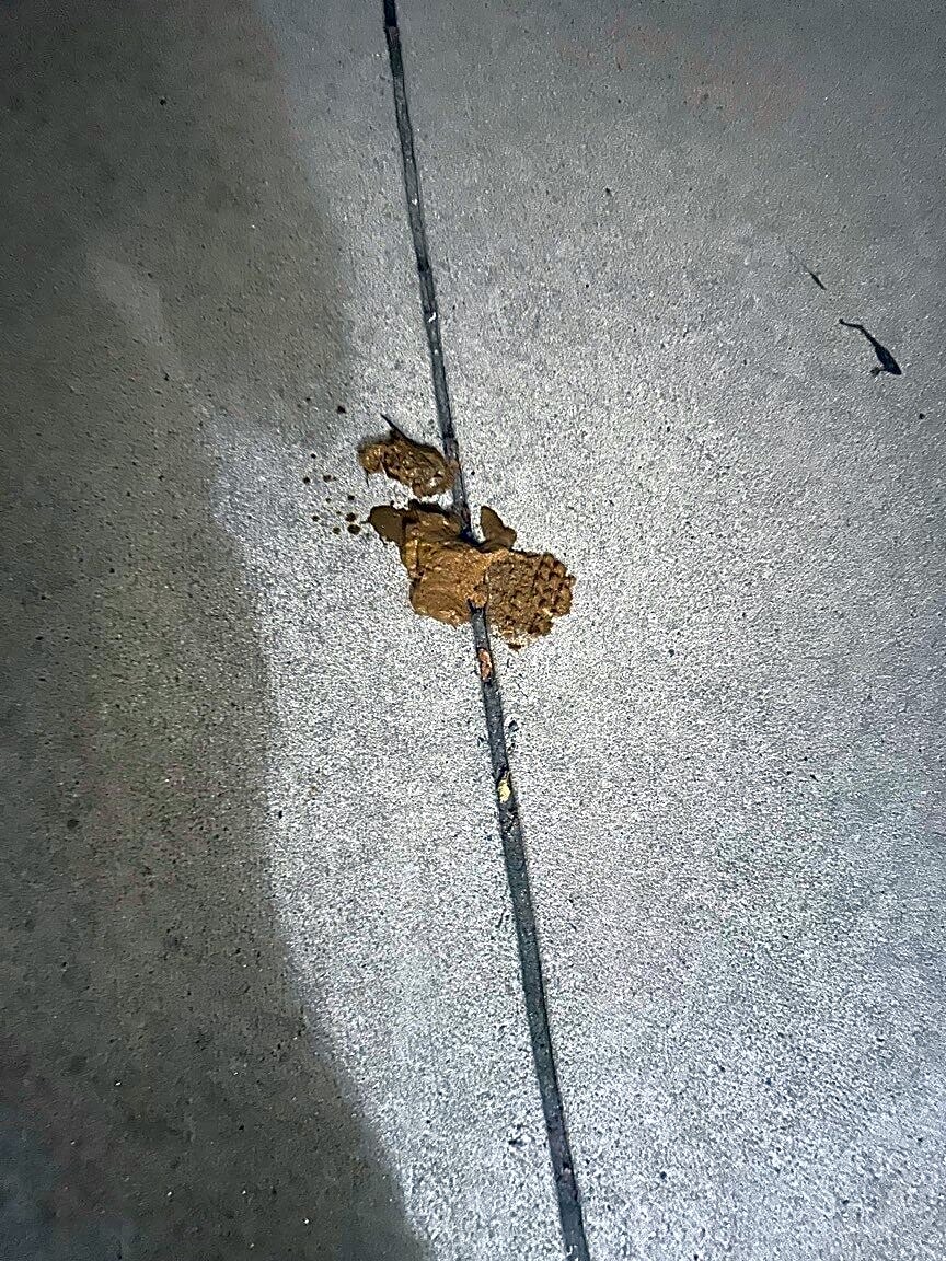 Image submitted with report