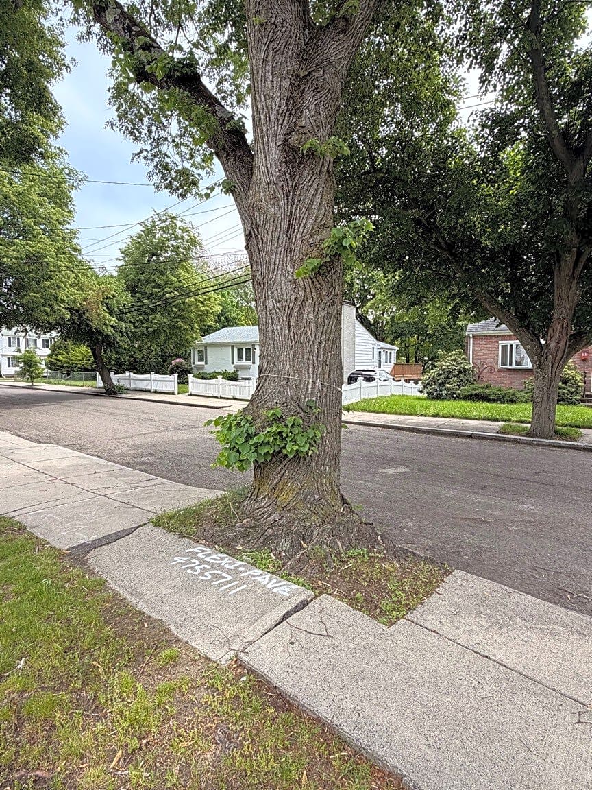Image submitted with report