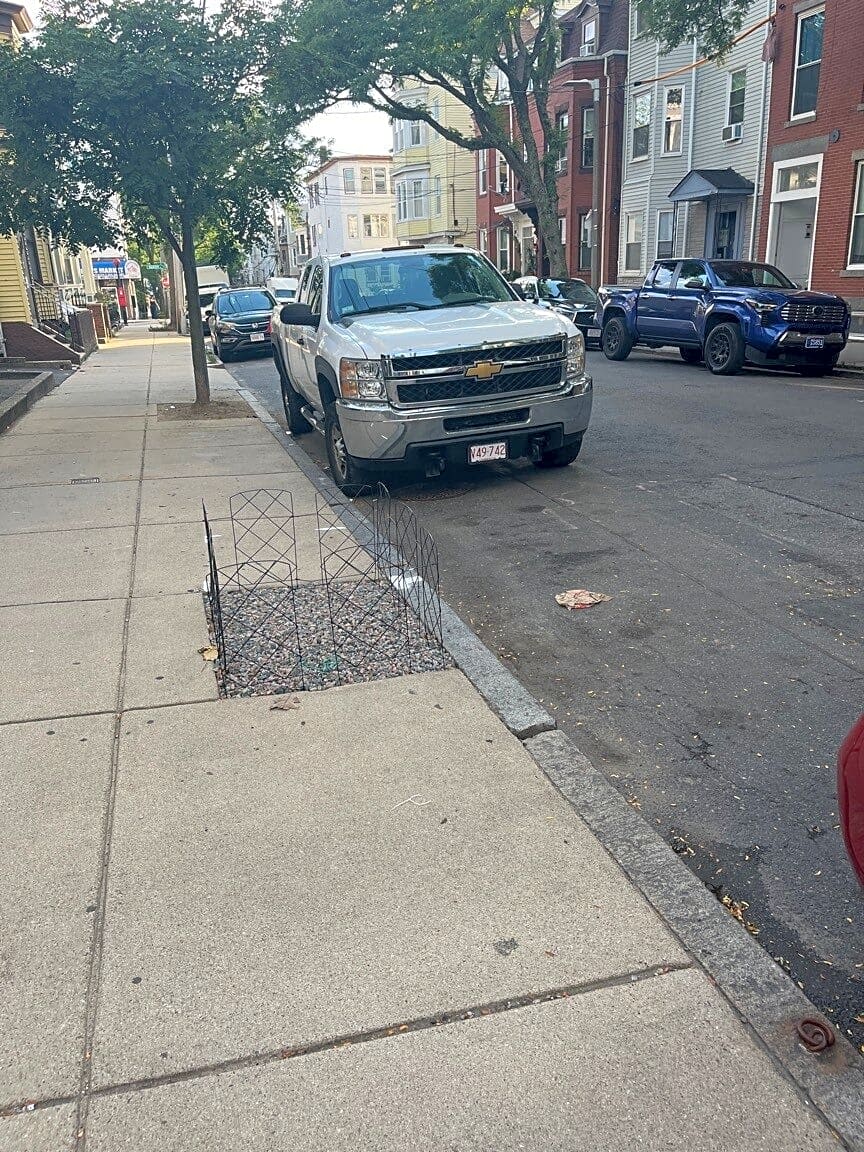 Image submitted with report