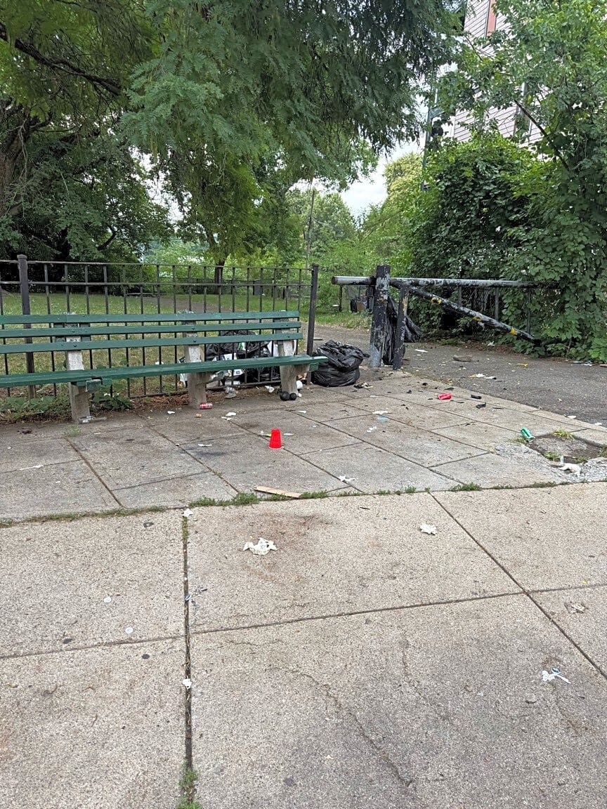 Image submitted with report