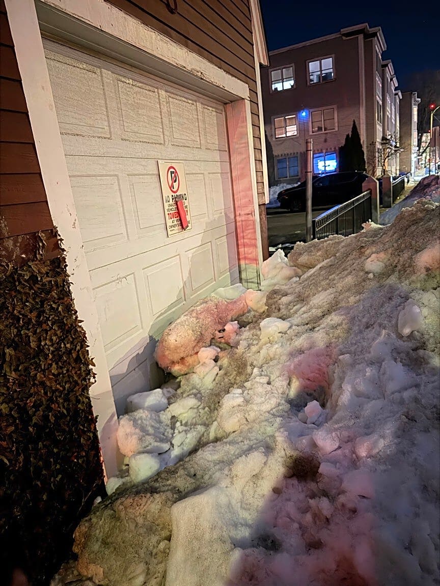 Image submitted with report