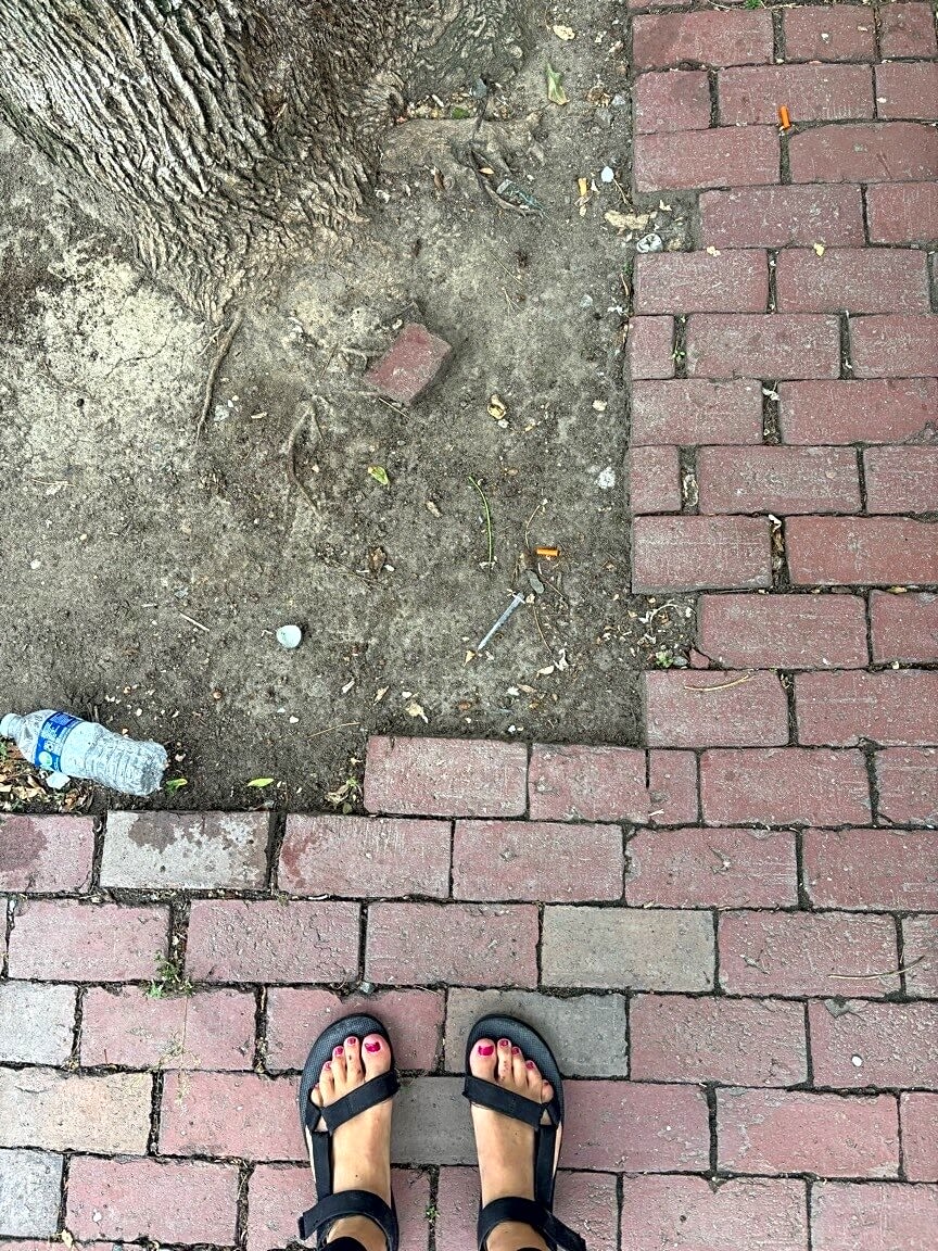 Image submitted with report